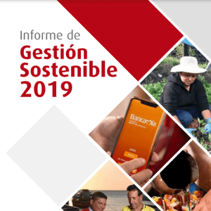 IGS 19