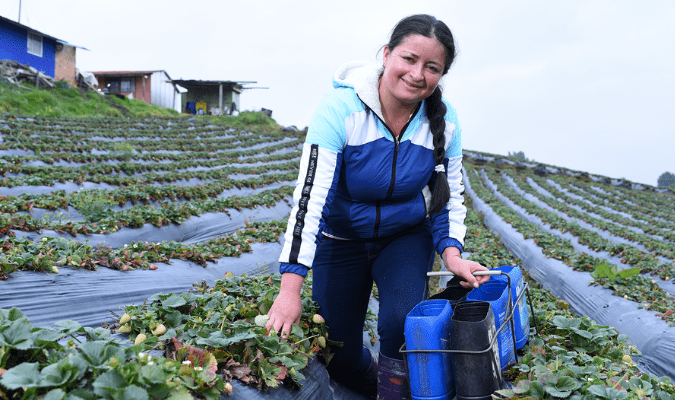 Subsidios Económicos