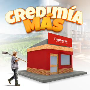 2024 Mesa de trabajo 1