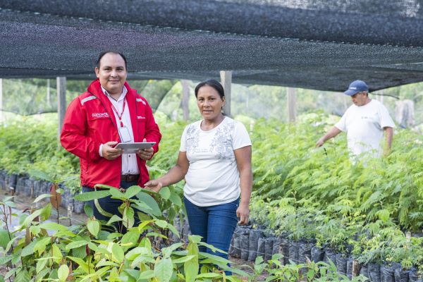 funcionario de Bancamia con una señora y un señor en un cultivo