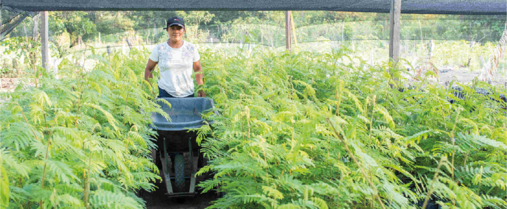 Mujer Rural 1