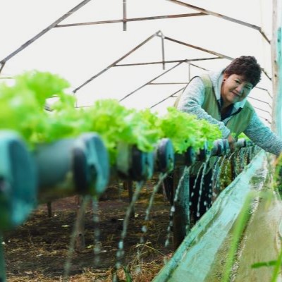 Señora con cabello corto regando las plantas en invernadero