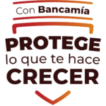 Escudo seguros