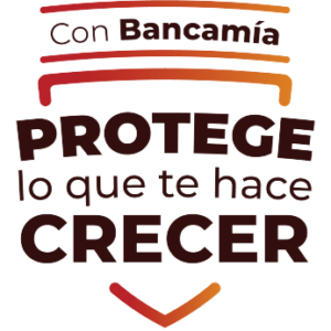 Escudo seguros
