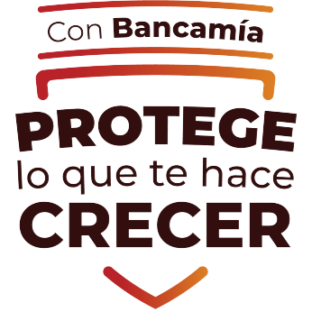 Escudo seguros