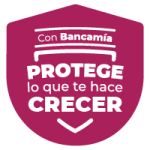 logo seguros