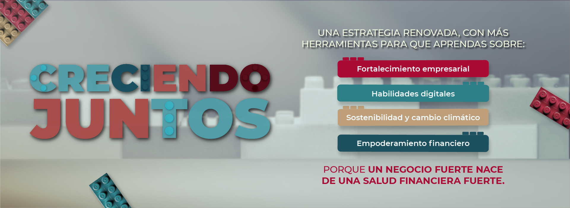 PortadaSaludFinanciera