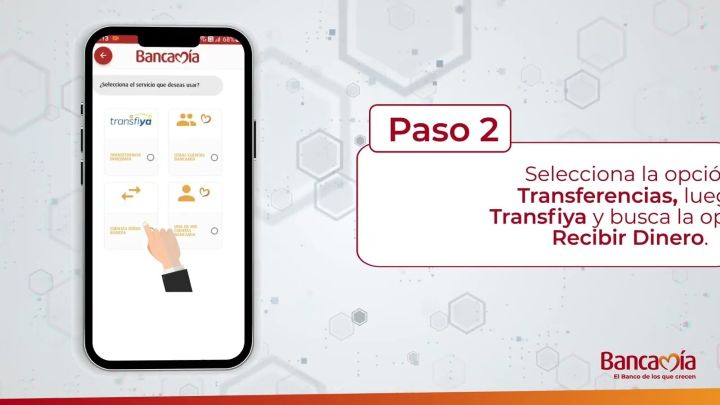 Transfiya2