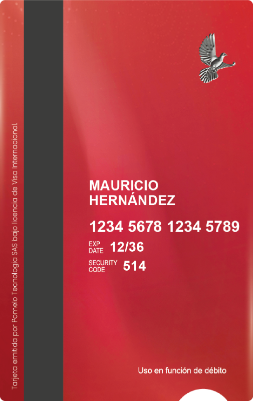 Tarjeta debito reverso