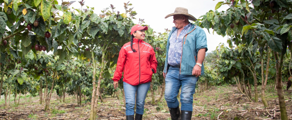 comunicado de prensa